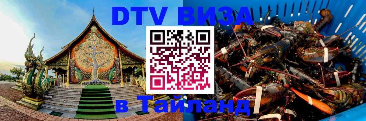 Оформление DTV визы под ключ: стоимость и тарифы, только загранпаспорт - 04.10.2025 